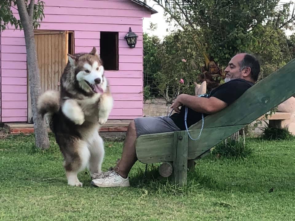 WhatsApp Image 2020-12-08 at 22.45.11 (1)