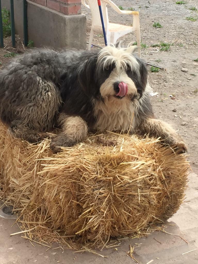 ce3147e3-d7c2-4766-89aa-1e2c68cc0b10