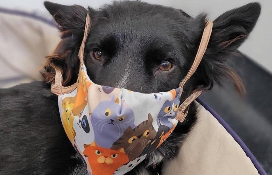 outbreak.-copy-e1609885136525