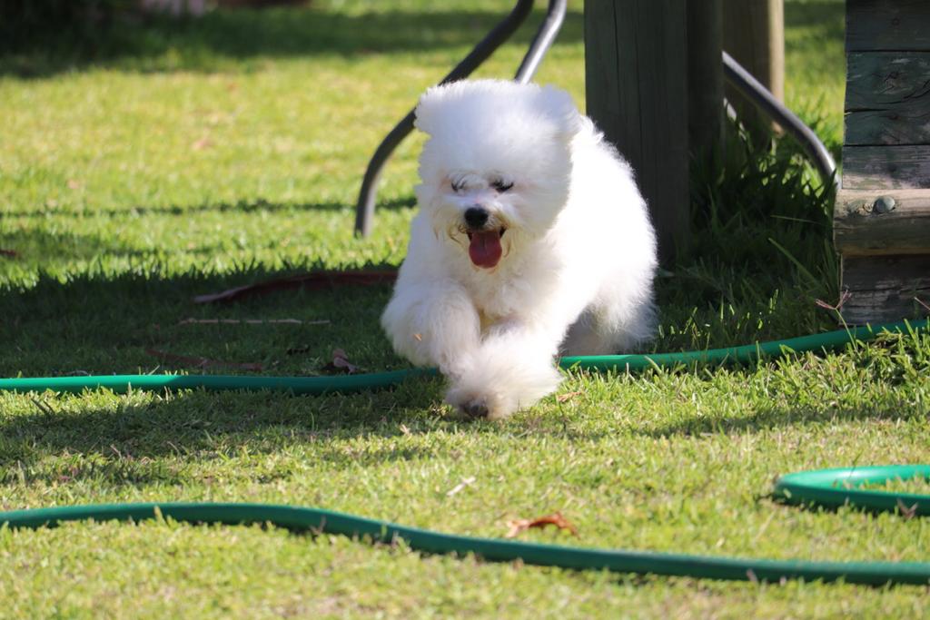 WhatsApp Image 2022-02-21 at 11.31.33 AM