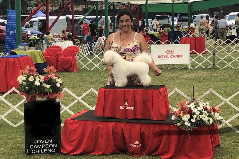 2600392F-9C7D-4660-908A-39A903606023_1_105_c