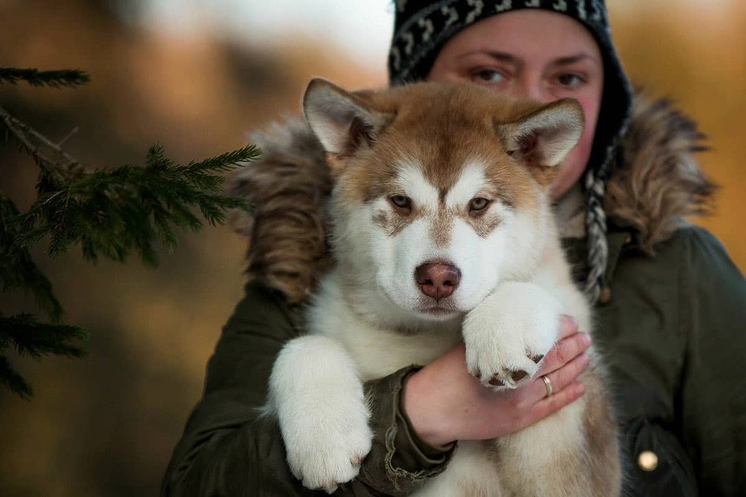 297A4924-AA2F-43F5-BCBC-0F9D9D466214_1_105_c