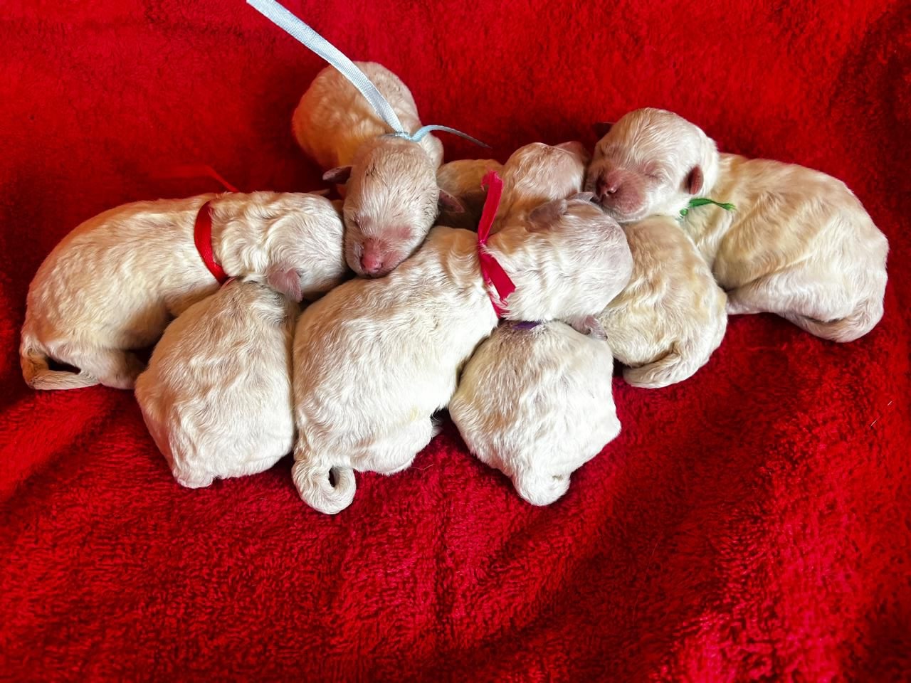 WhatsApp Image 2025-08-18 at 07.31.35